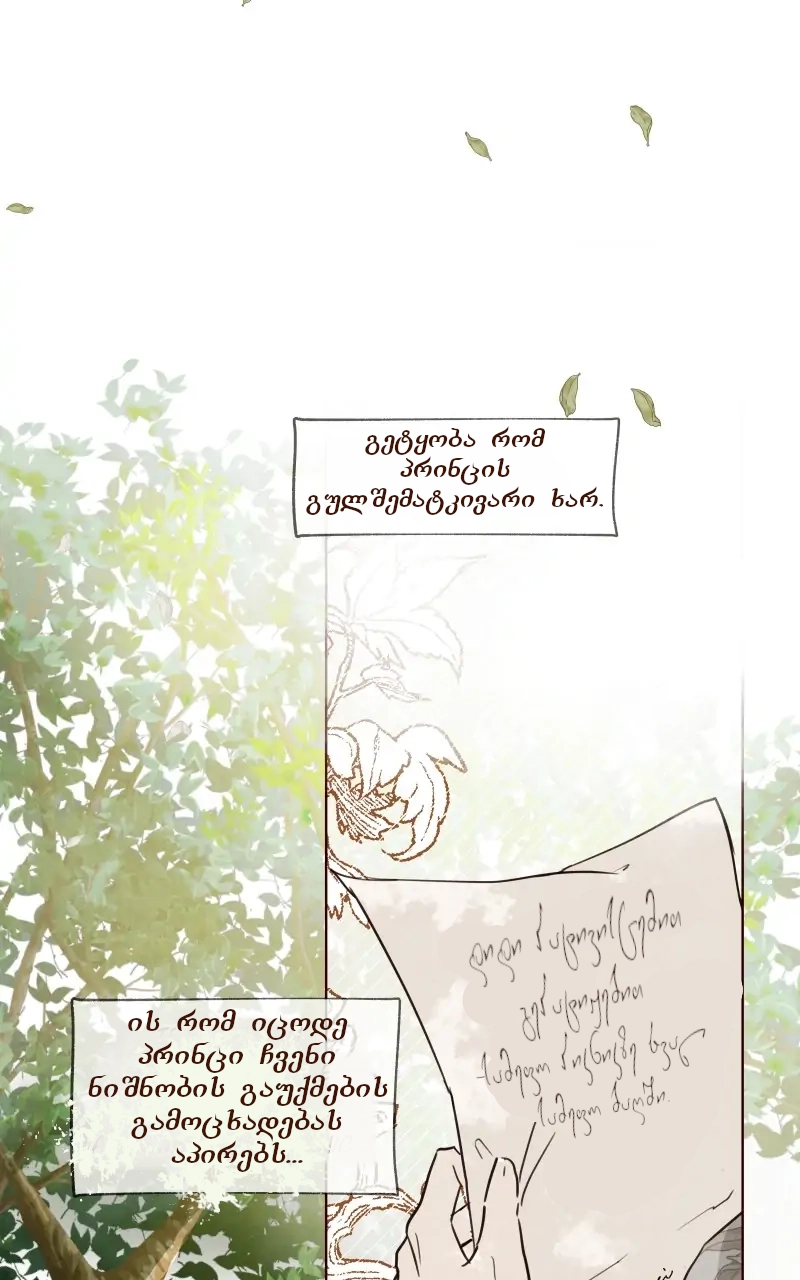 Page (41)